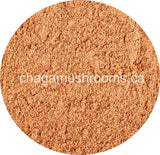 buy bulk chaga extract powder
