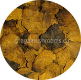 chaga chunks 